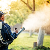 Lawn Mosquito Control in Hot Springs, AR