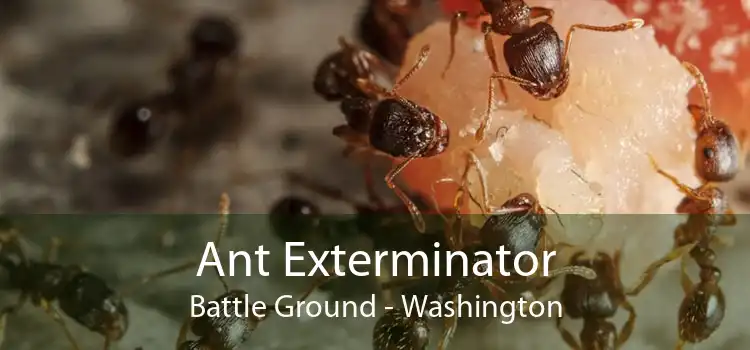 Ant Exterminator Battle Ground - Washington