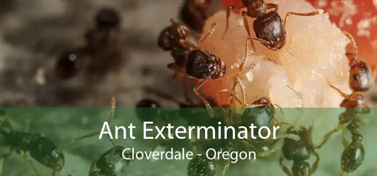 Ant Exterminator Cloverdale - Oregon