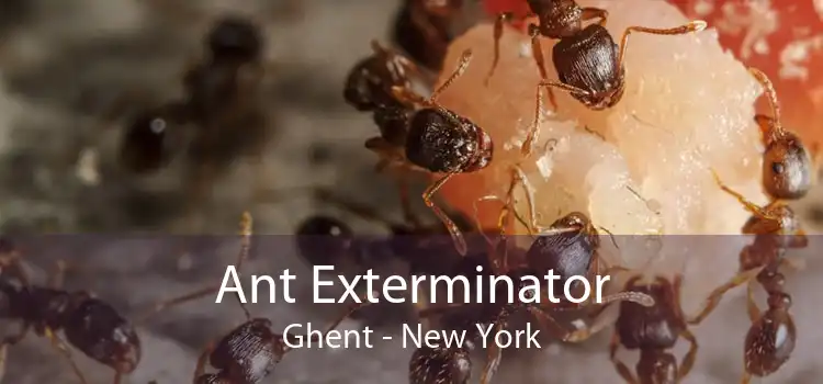 Ant Exterminator Ghent - New York