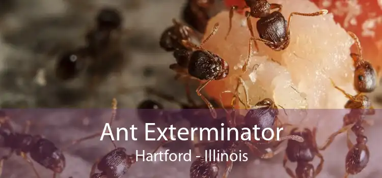 Ant Exterminator Hartford - Illinois