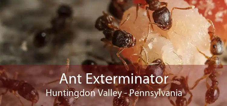 Ant Exterminator Huntingdon Valley - Pennsylvania