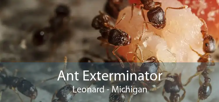 Ant Exterminator Leonard - Michigan