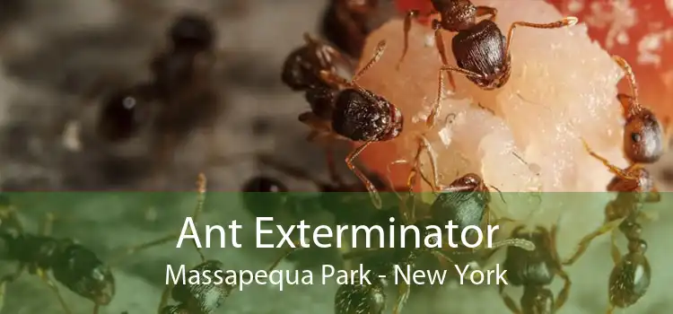 Ant Exterminator Massapequa Park - New York