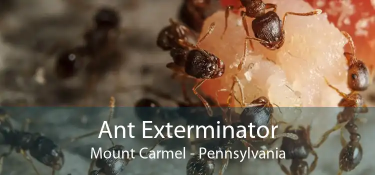 Ant Exterminator Mount Carmel - Pennsylvania