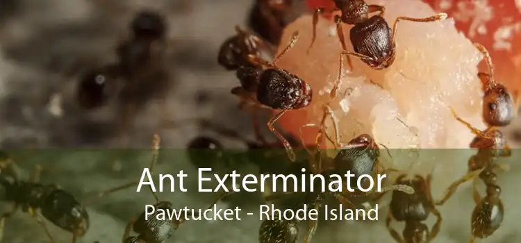 Ant Exterminator Pawtucket - Rhode Island