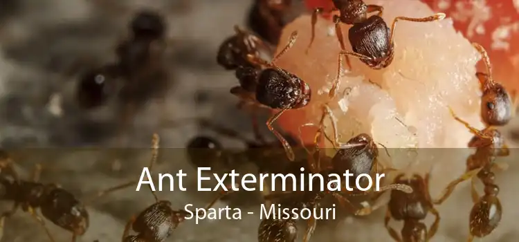 Ant Exterminator Sparta - Missouri