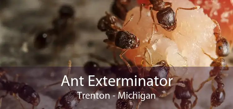 Ant Exterminator Trenton - Michigan
