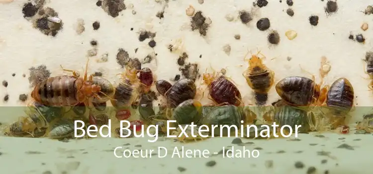 Bed Bug Exterminator Coeur D Alene - Idaho