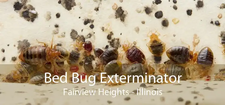 Bed Bug Exterminator Fairview Heights - Illinois