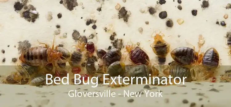 Bed Bug Exterminator Gloversville - New York