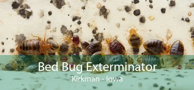 Bed Bug Exterminator Kirkman - Iowa