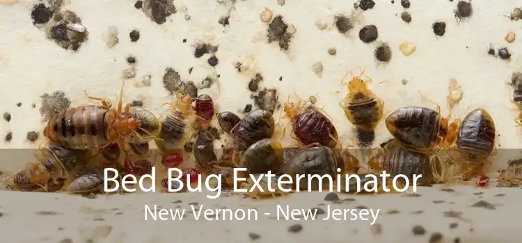 Bed Bug Exterminator New Vernon - New Jersey