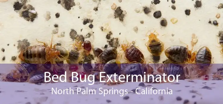 Bed Bug Exterminator North Palm Springs - California