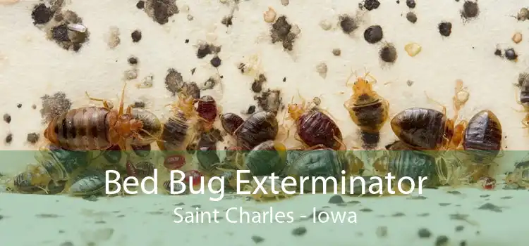 Bed Bug Exterminator Saint Charles - Iowa