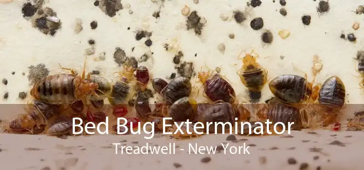 Bed Bug Exterminator Treadwell - New York