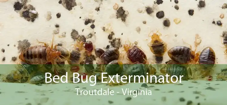 Bed Bug Exterminator Troutdale - Virginia