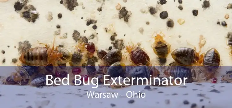 Bed Bug Exterminator Warsaw - Ohio
