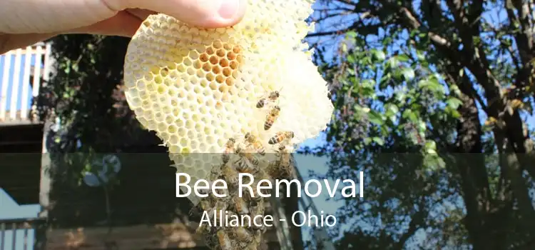 Bee Removal Alliance - Ohio