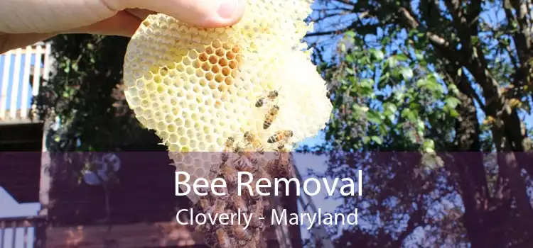 Bee Removal Cloverly - Maryland