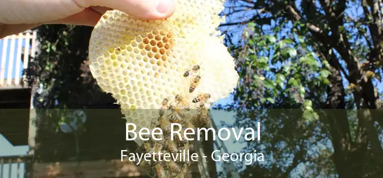 Bee Removal Fayetteville - Georgia