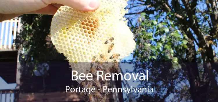 Bee Removal Portage - Pennsylvania