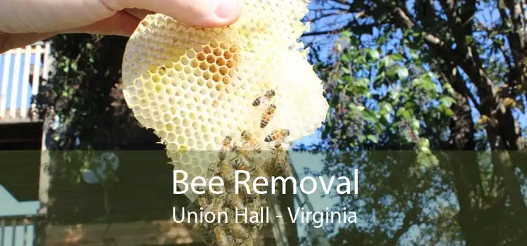 Bee Removal Union Hall - Virginia