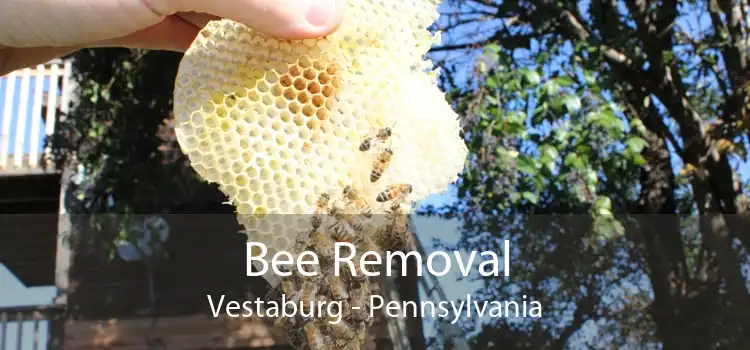 Bee Removal Vestaburg - Pennsylvania