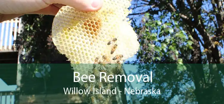 Bee Removal Willow Island - Nebraska