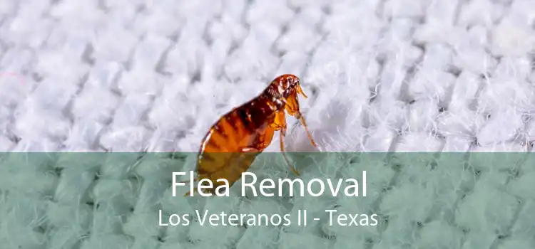 Flea Removal Los Veteranos II - Texas