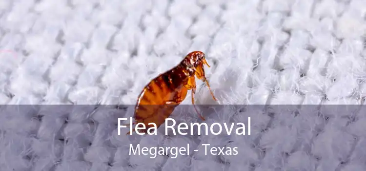 Flea Removal Megargel - Texas