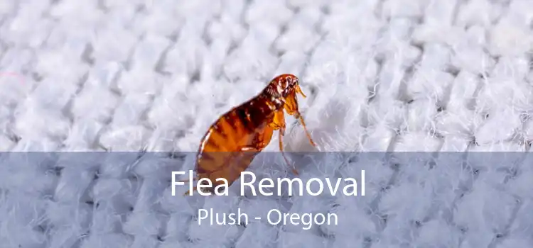Flea Removal Plush - Oregon
