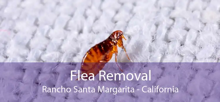 Flea Removal Rancho Santa Margarita - California