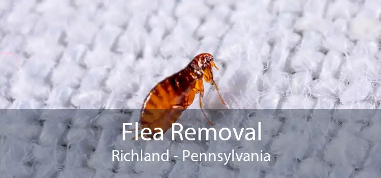 Flea Removal Richland - Pennsylvania