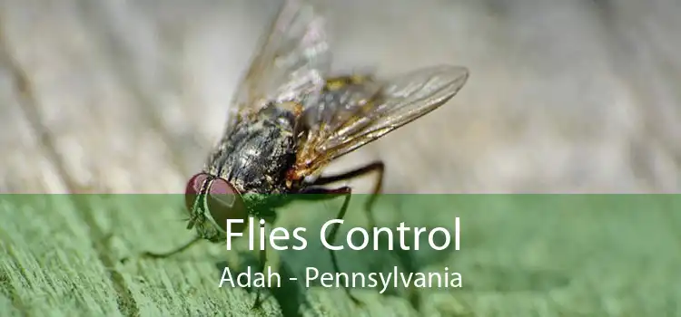 Flies Control Adah - Pennsylvania