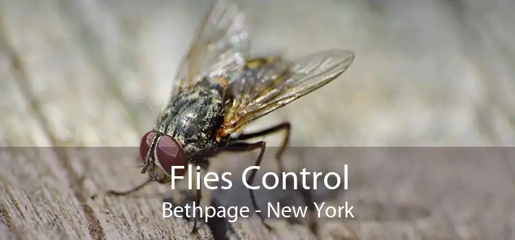 Flies Control Bethpage - New York