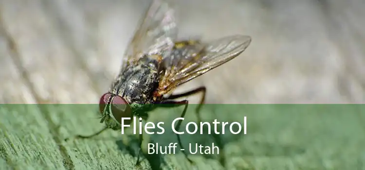 Flies Control Bluff - Utah
