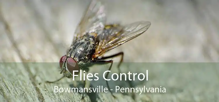 Flies Control Bowmansville - Pennsylvania