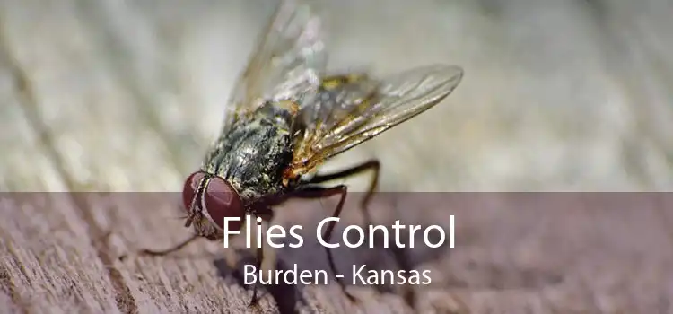 Flies Control Burden - Kansas