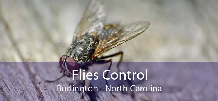 Flies Control Burlington - North Carolina