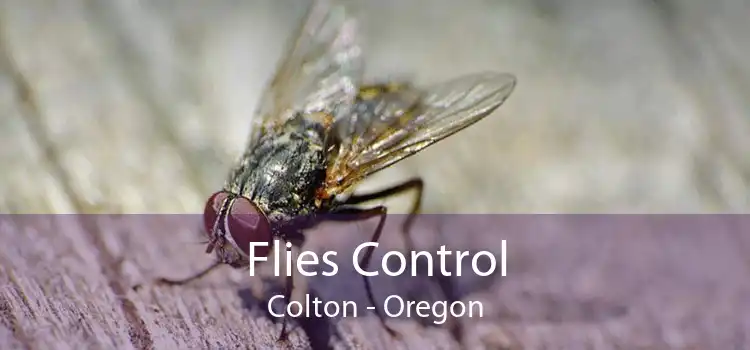 Flies Control Colton - Oregon