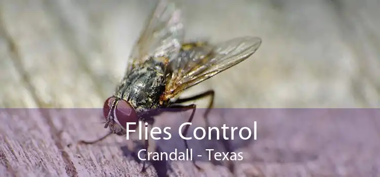 Flies Control Crandall - Texas
