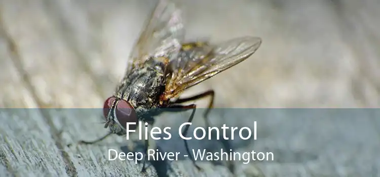 Flies Control Deep River - Washington