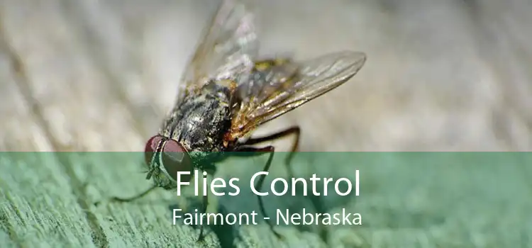 Flies Control Fairmont - Nebraska