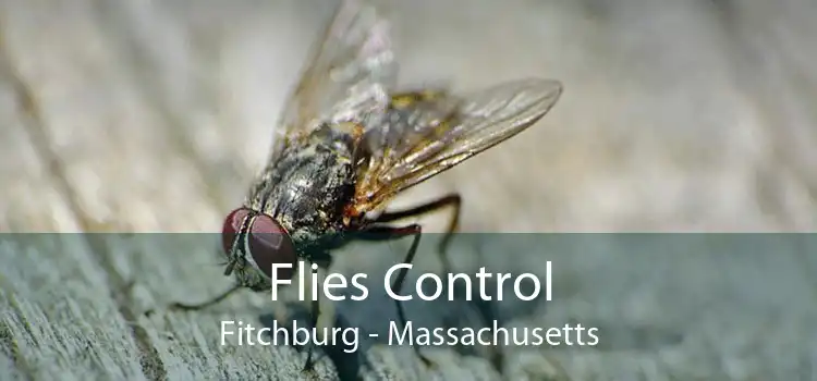 Flies Control Fitchburg - Massachusetts