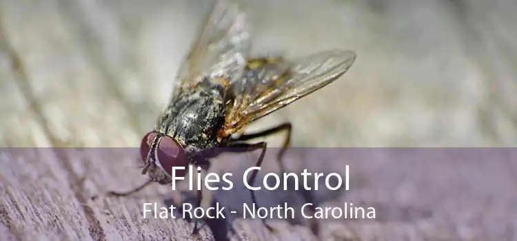 Flies Control Flat Rock - North Carolina