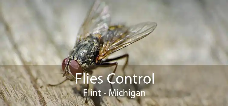 Flies Control Flint - Michigan
