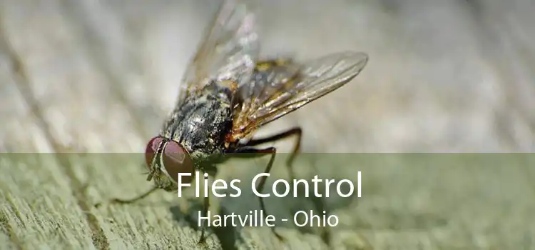 Flies Control Hartville - Ohio