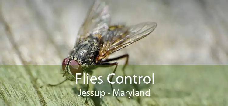 Flies Control Jessup - Maryland