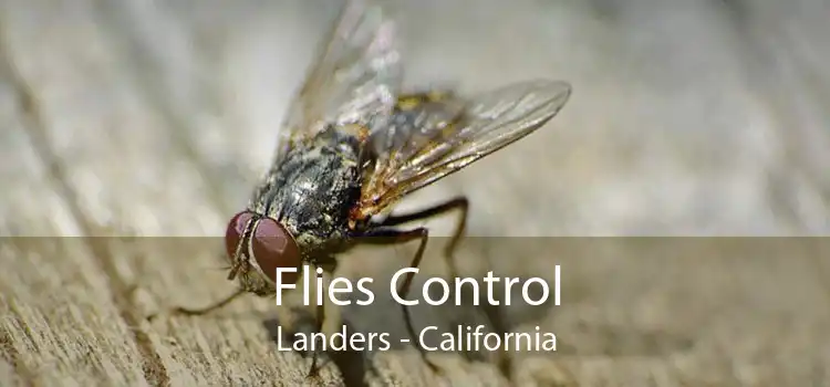 Flies Control Landers - California